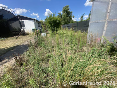 Garten Impression 1