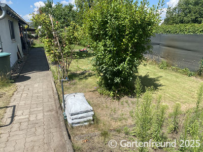 Garten Impression 2