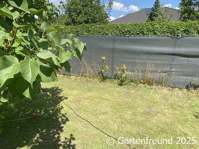 Garten Impression 7