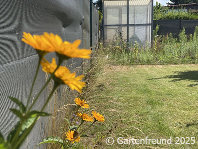 Garten Impression 8