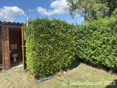Garten Impression 11